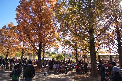 上野動物園の紅葉・不忍池