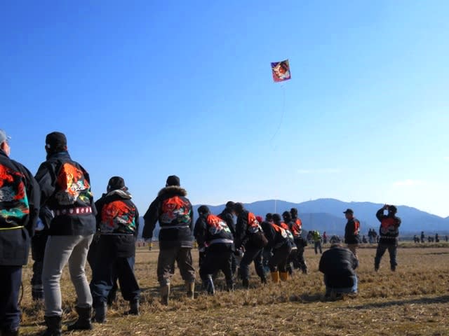 幸田の凧揚げまつりの画像