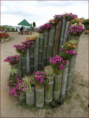 竹に植えた花と多肉植物 正ちゃんの花と緑の旅９ 座敷わらし犬とうさぎガーデン