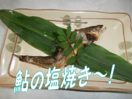 家庭でも美味しく見える鮎 アユ は串がポイント たった 少しの手間がウマウマに いげのやま美化クラブ