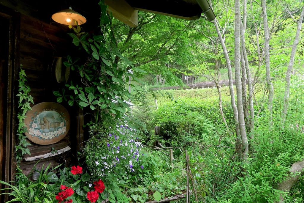 ターシャの庭と花の地球館を彩る花 自然を求めて近辺ぶらり ターシャの庭と花の地球館を彩る花 自然を求めて近辺ぶらり