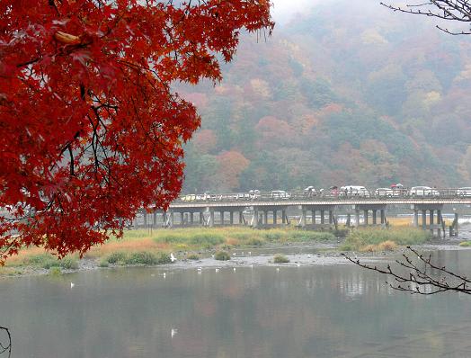 嵐山　渡月橋近辺の紅葉はもやがかかって幻想的