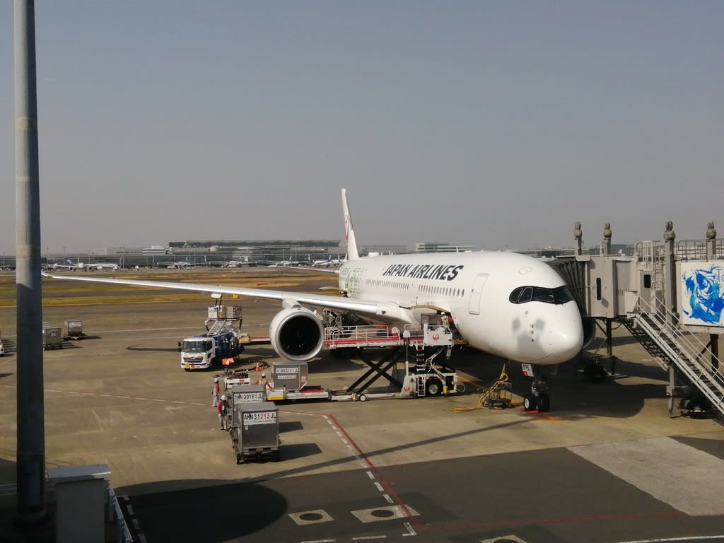 羽田 福岡 往復搭乗記 ３月２２ ２３日 ボンさんの飛行機写真