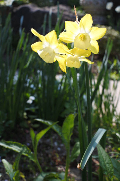 DSC_8084