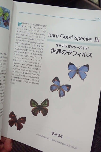 jezoensis No.47 発行。 - 北海道昆虫同好会ブログ jezoensis No.47 発行。 - 北海道昆虫同好会ブログ