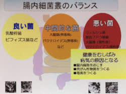 ウンチは腸内環境のバロメーター 山三地区福祉委員会
