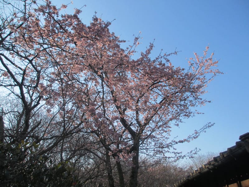 Img_0302 Img_0302
