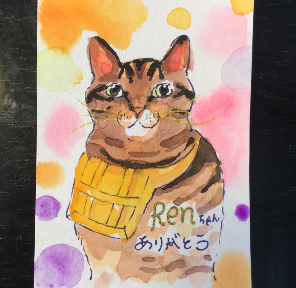 猫猫寺の蓮ちゃん ありがとう キムラトモミの絵と版画 制作ノート