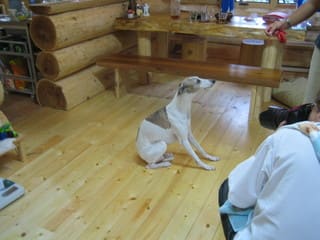 カメラマンにも写してもらいました