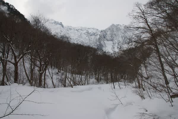 12年1月のブログ記事一覧 糸島徒然田舎暮らし Play Around In The Nature