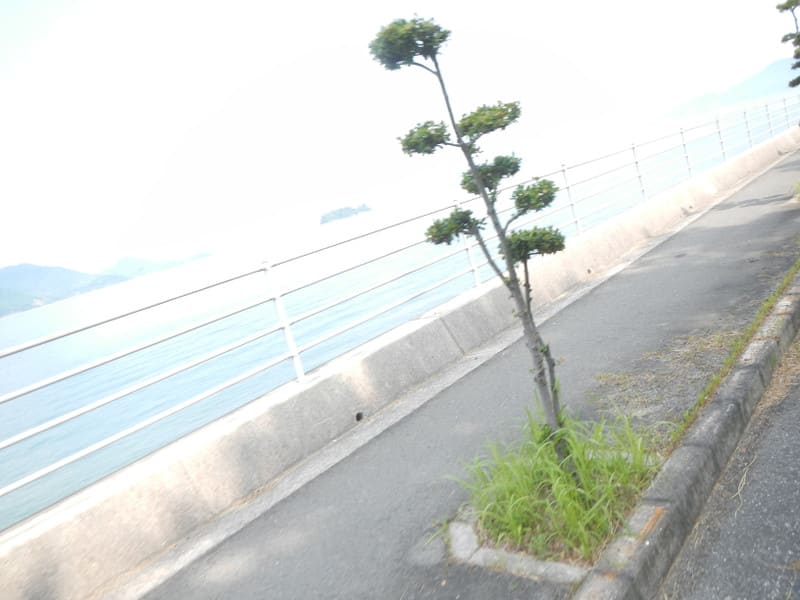 Dscn0609 Dscn0609