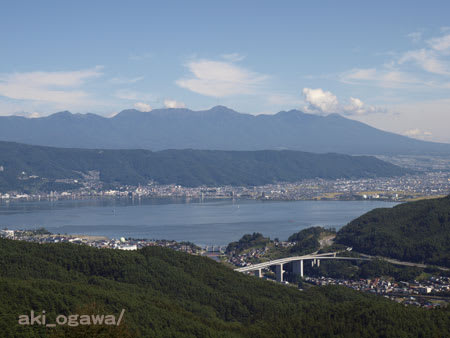 しだれ栗森林公園 辰野町 長野周辺の山歩きと山野草