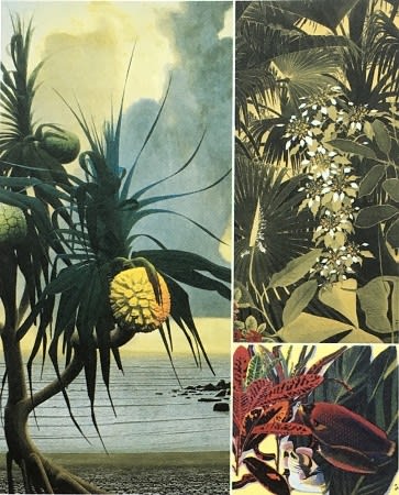 伝説の画家、日本のゴーギャン★田村　一村　日本画 伝説の画家、日本のゴーギャン☆田村 一村 日本画