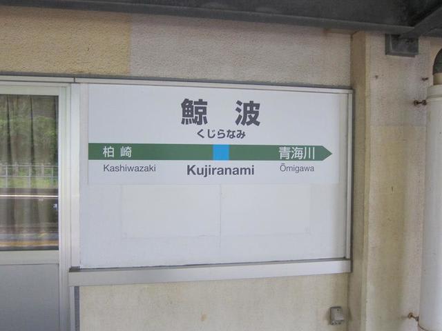 イメージ 5
