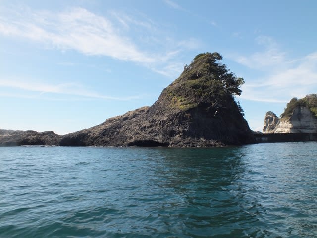 仁科の島