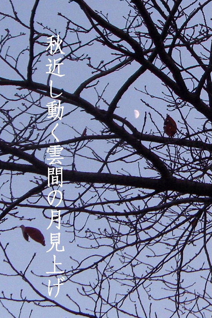 秋近し ぬくもり俳句帖 秋近し ぬくもり俳句帖