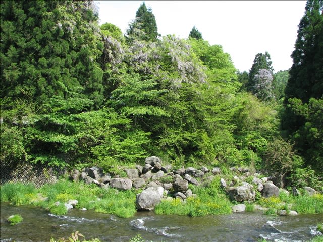 気まぐれフォトダイアリー