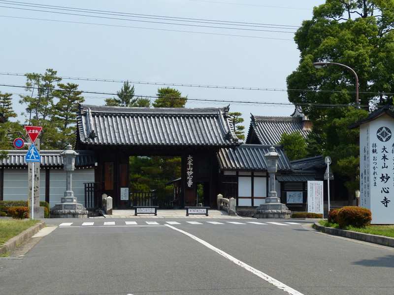 京都花景色 東林院 沙羅の花を愛でる会 行ってきました 14 6 まじくんママのぷち旅ぶろぐ 京都花景色 東林院 沙羅の花を愛でる会 行ってきました 14 6 まじくんママのぷち旅ぶろぐ
