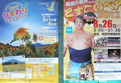 ひまわりフェスティバルとどすこいペアの掲示