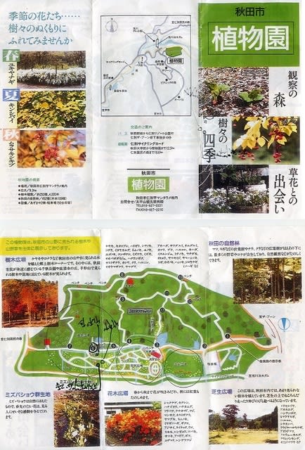 18年09月26日 シダの会 秋田市植物園観察 タロンペ 能代市風の松原内の植物調査と白神山地内の登山記録