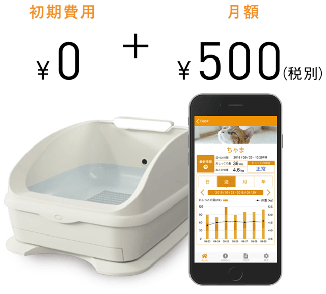 争い バン リットル トレッタ 猫 Adanacukurovatemizlik Com 争い バン リットル トレッタ 猫 Adanacukurovatemizlik Com
