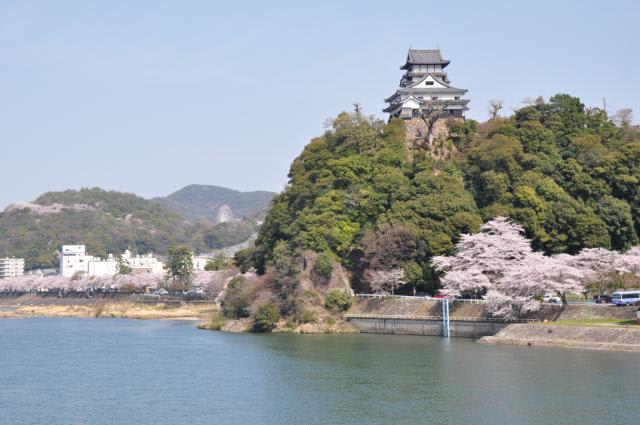 犬山城と桜 かどの煙草屋までの旅