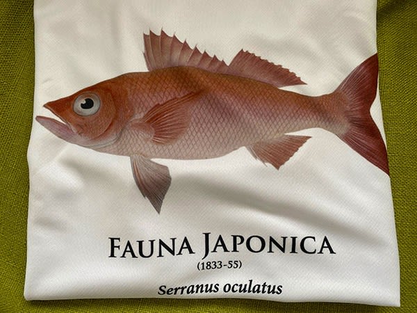 ハチジョウアカムツｔシャツ 虫愛でる主婦の日記