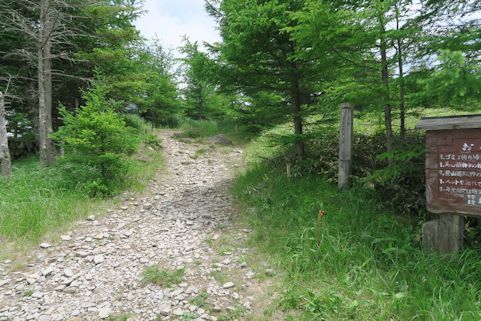 美ヶ原高原王ヶ頭 長野県松本市 安曇野ジャズファンの雑記帳