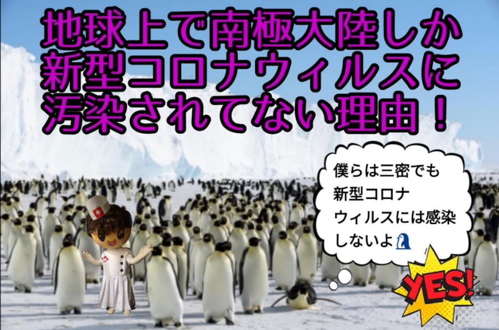 南極大陸のペンギン の新型コロナ警告 円ジョイ師匠とセタッシーの時事ネタ