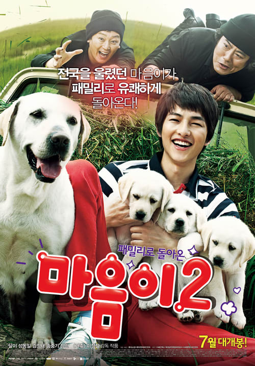 人気No.1 韓国映画 韓流ドラマ 太陽の末裔 の ソン・ジュンギ ボクとマウミの物語 DVD - 外国映画