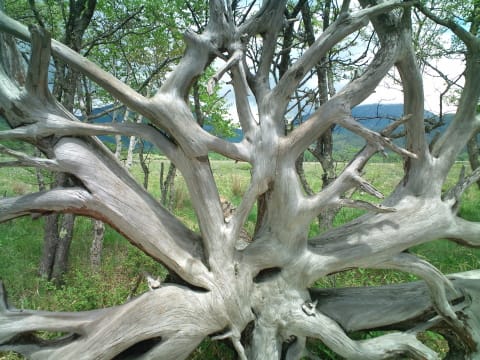 F1000032_2 F1000032_2