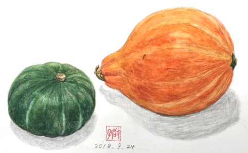 かぼちゃ 南京 花の絵いっぱい描きたい
