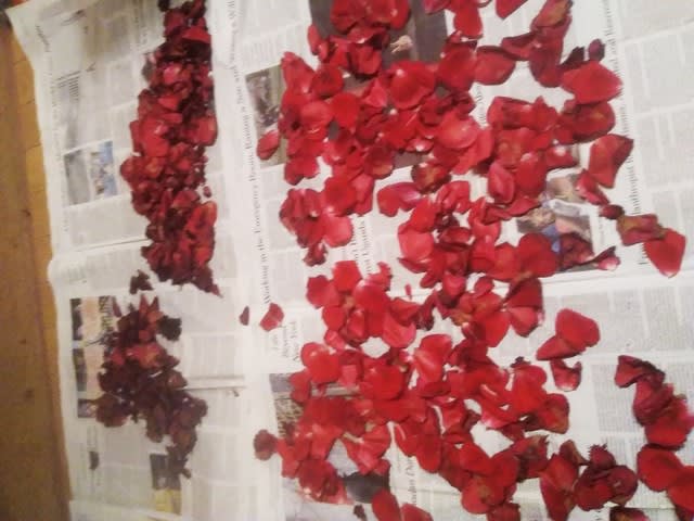 薔薇の花をドライフラワーに ソイキャンドル つぶつぶタンタン 臼村さおりの物語