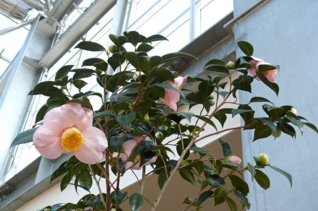 P3210335