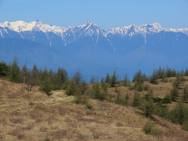 鉢伏山から見た常念岳