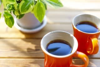 たんぽぽ茶とたんぽぽコーヒーは効能は何が違いますか 子供ってかわいい のんびりライフを満喫中