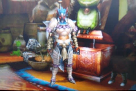 新 爺の狩魂日誌 Mh4 24日目 装備晒してみますｗ 電脳遊戯奇談