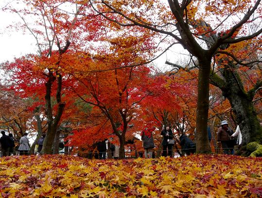 東福寺　観光客で賑わう庭園