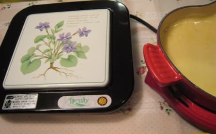 おいしいチーズフォンデュ 山の花庭 おいしいチーズフォンデュ 山の花庭