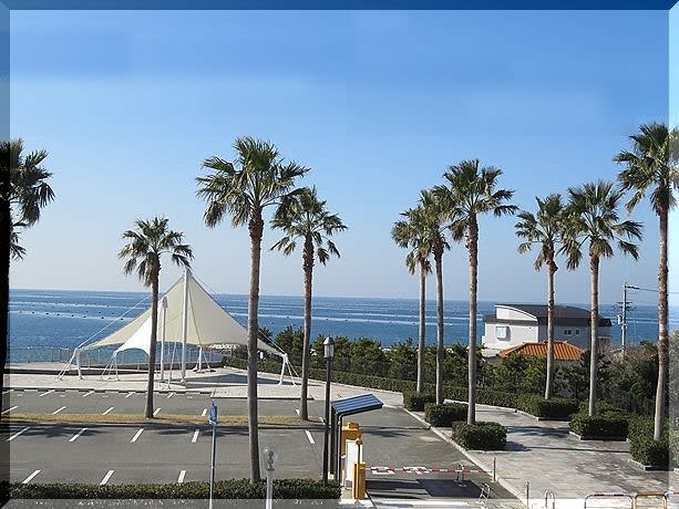 林崎松江海岸 松江公園 Reikoのお花の絵 ２