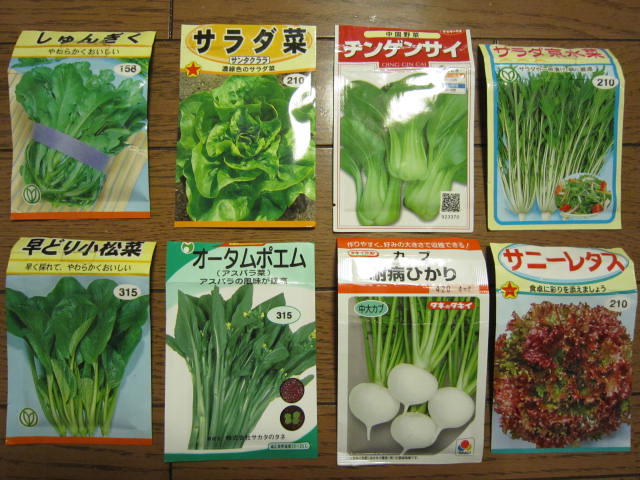 葉物野菜をいっきにタネまきしました 大好き 野菜の時間 葉物野菜をいっきにタネまきしました 大好き 野菜の時間
