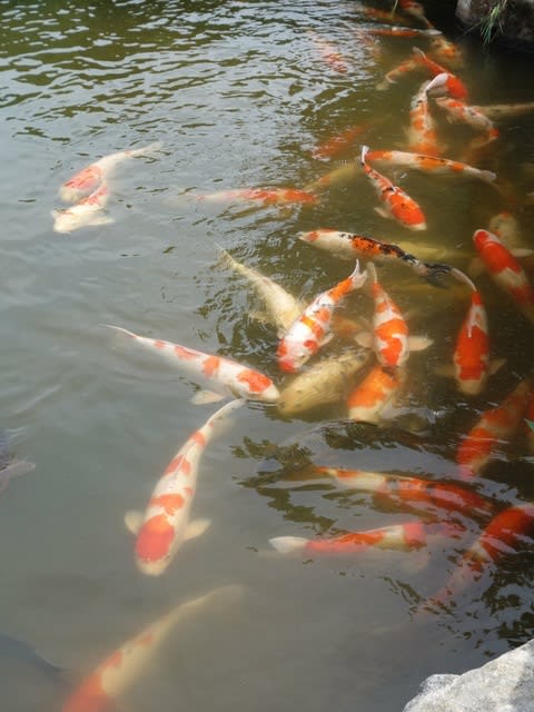 DSC06668.jpg