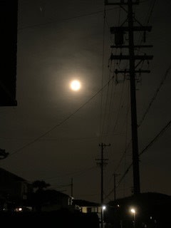 ピンクムーン わたしの心