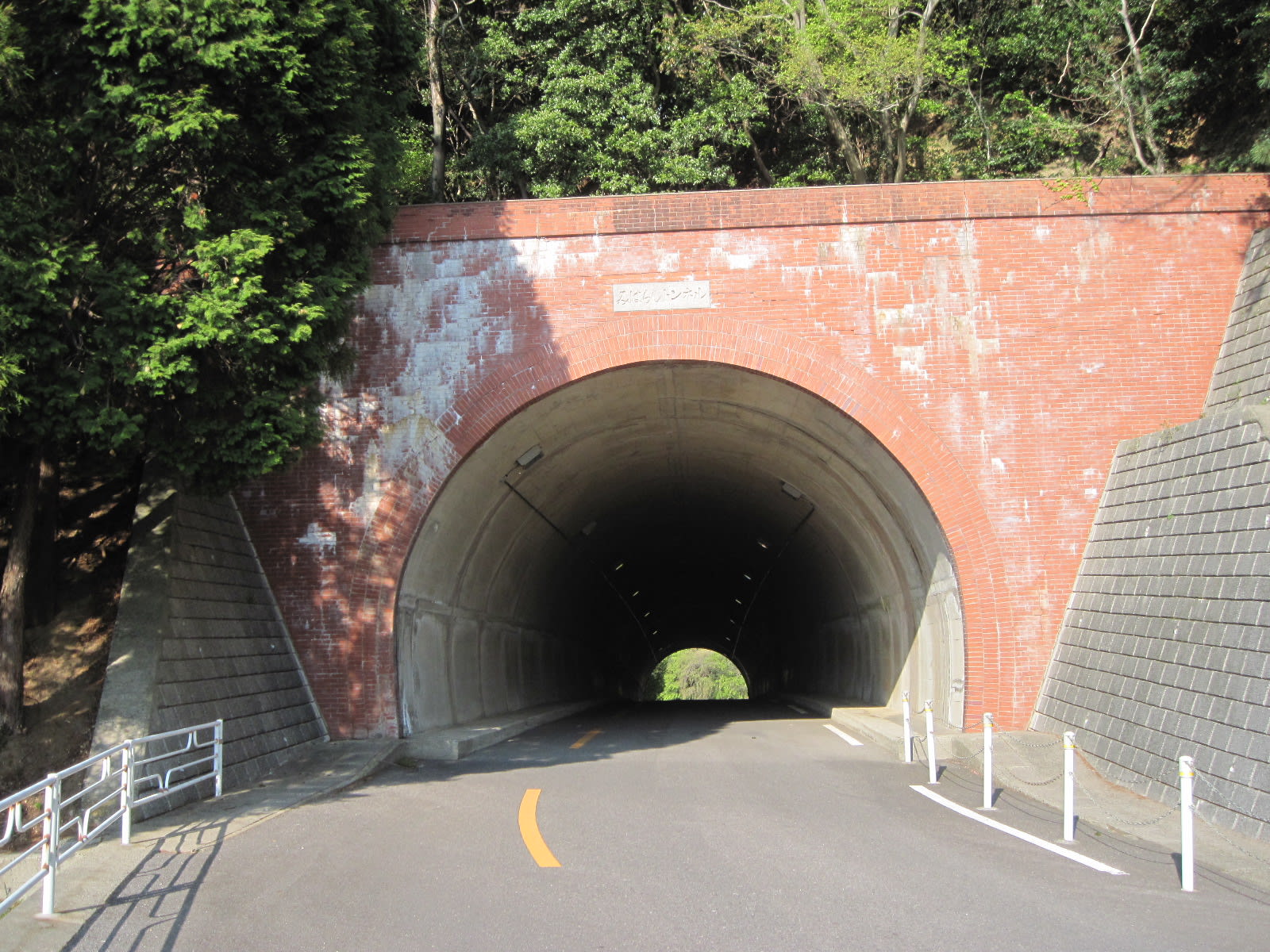 長距離散歩・こどもの国の画像