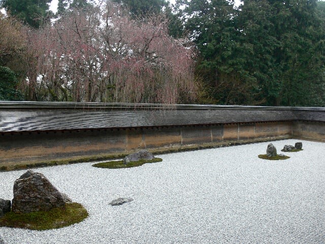 龍安寺石庭：枝垂桜が蕾なのが寂しい
