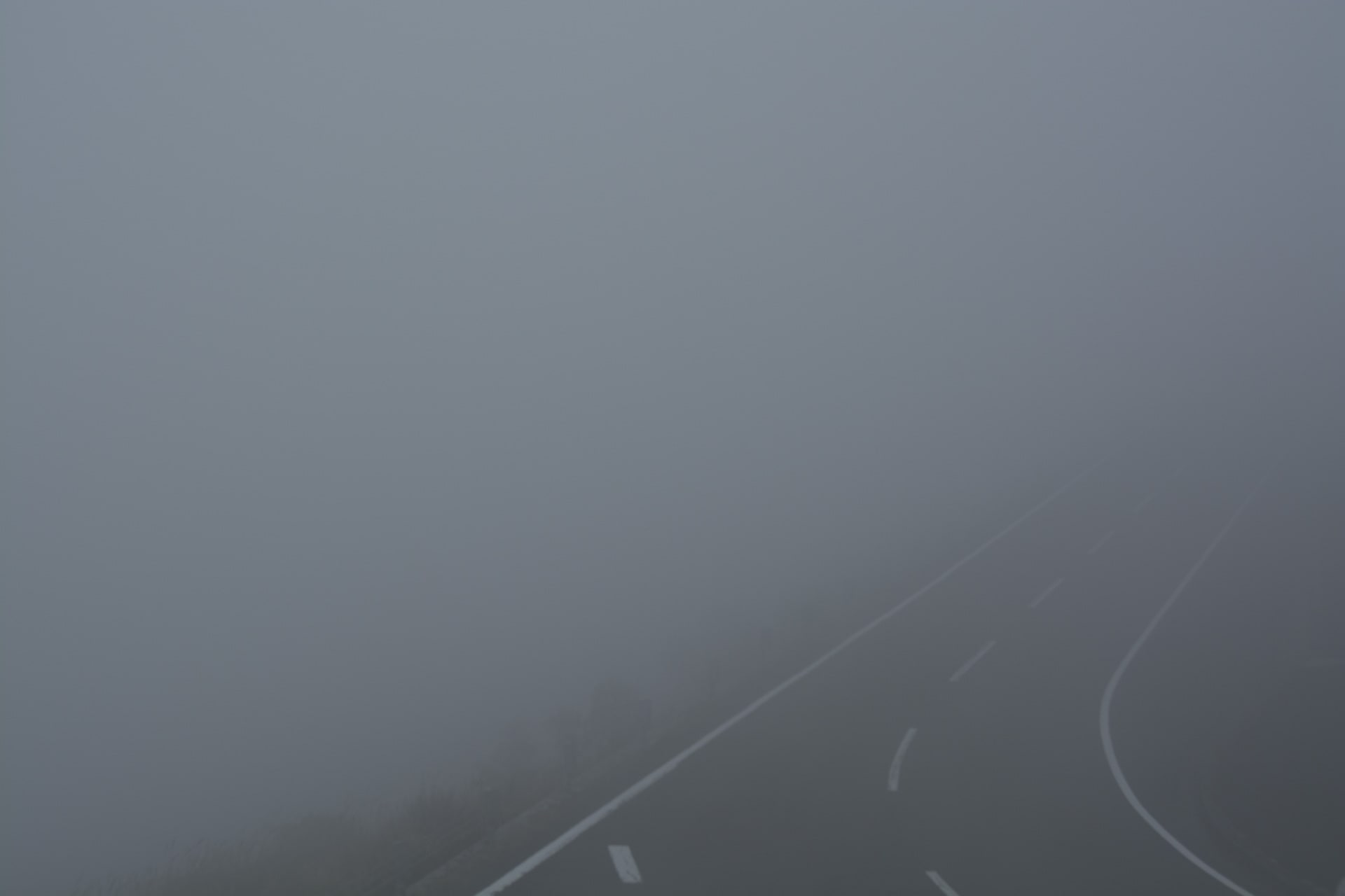 四国カルストは霧の中 - 田舎人の いつも写真と