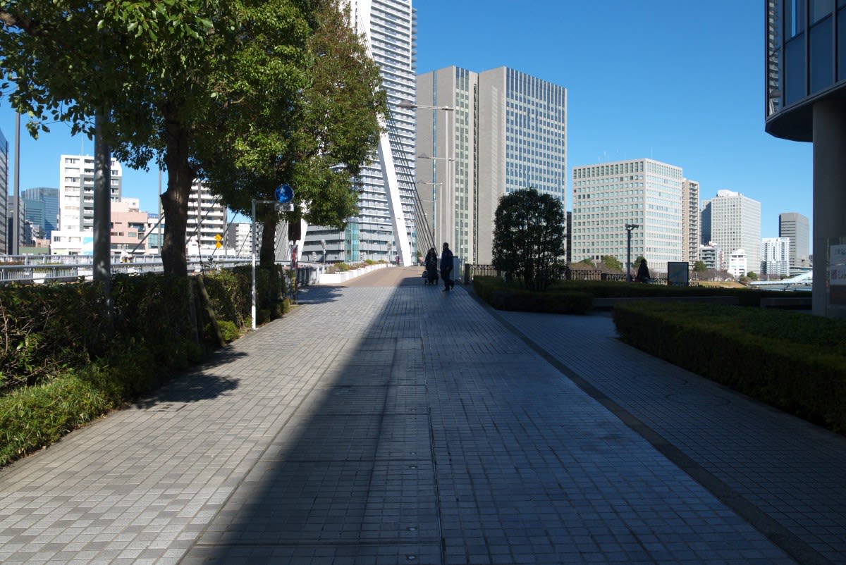 ２月の霊岸八丁堀 大川端リバーシティ内を通り抜けて八重洲通り 中央大橋へ ｐａｒｔ１ 緑には 東京しかない