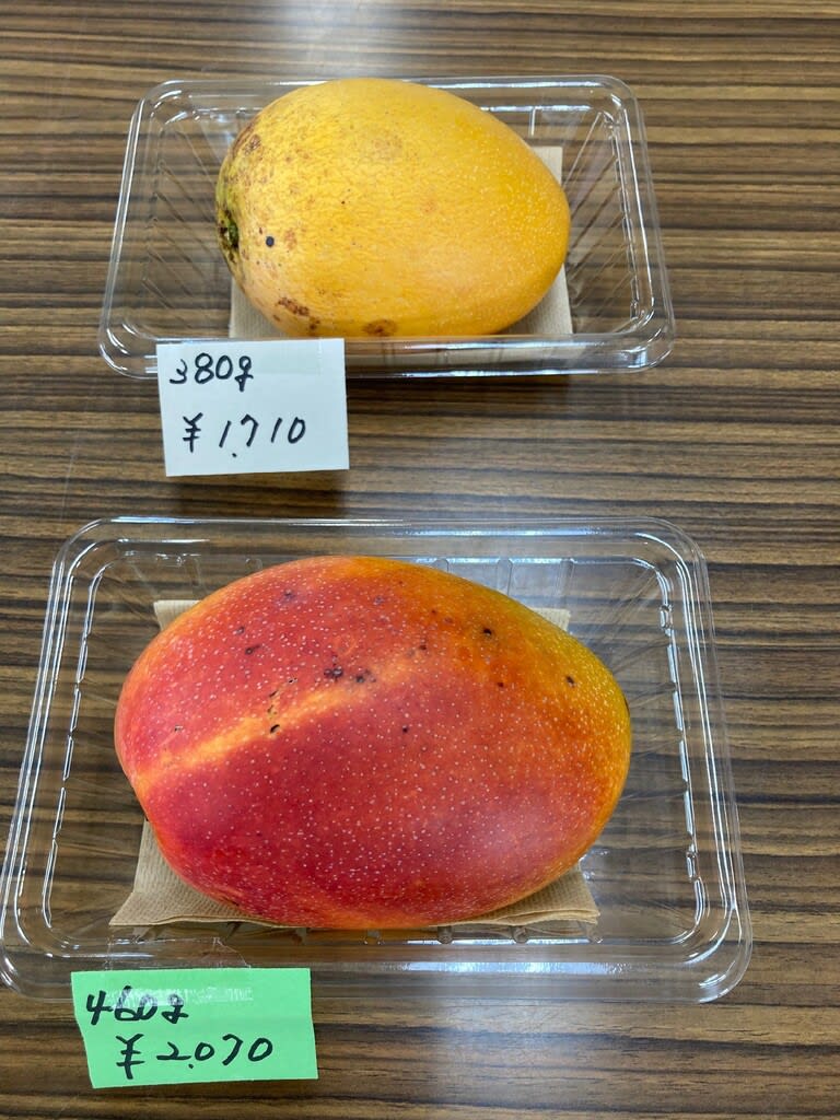 千葉県富津市にある富津アクアファームの いちご狩りやブルーベリー狩りについてのブログ