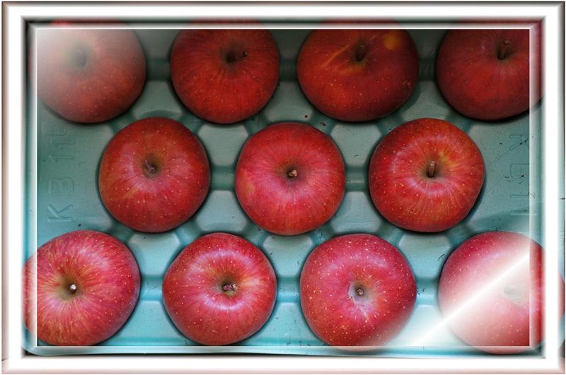 ジャンボりんごとキウイフルーツ 私の雑談ルーム