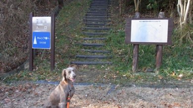遊歩道入り口